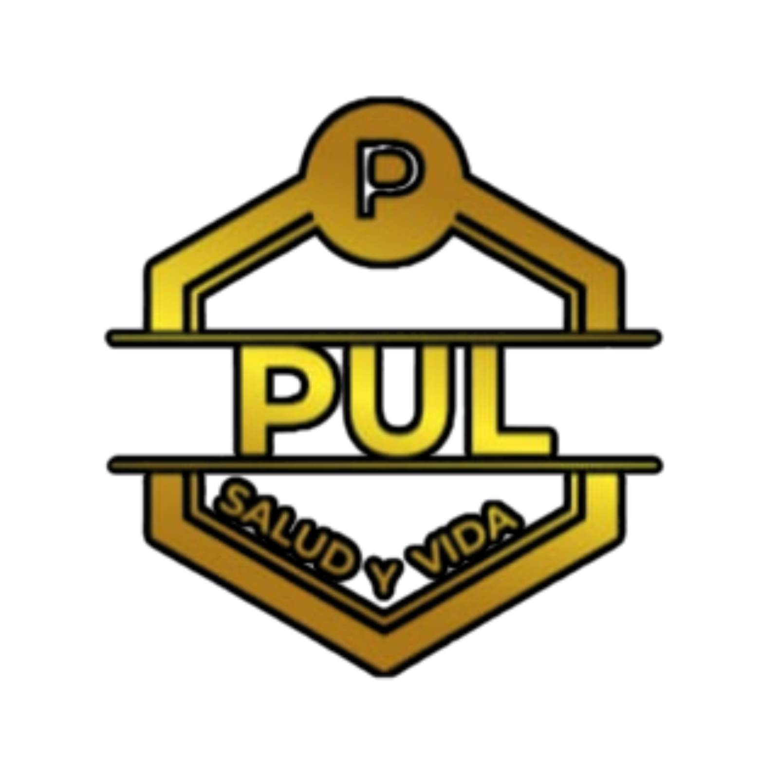 Logo PUL Salud y Vida